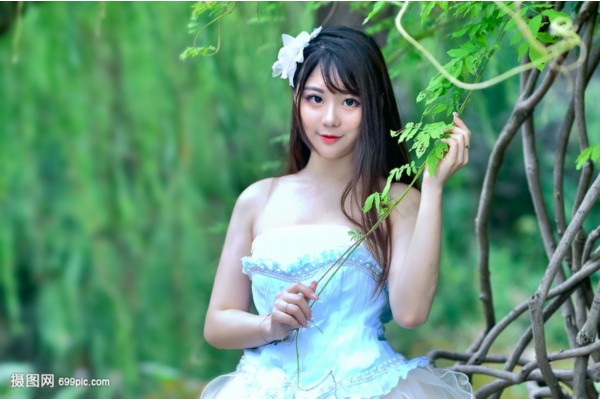 白木槿花功效显著，天然保健品助抗衰老